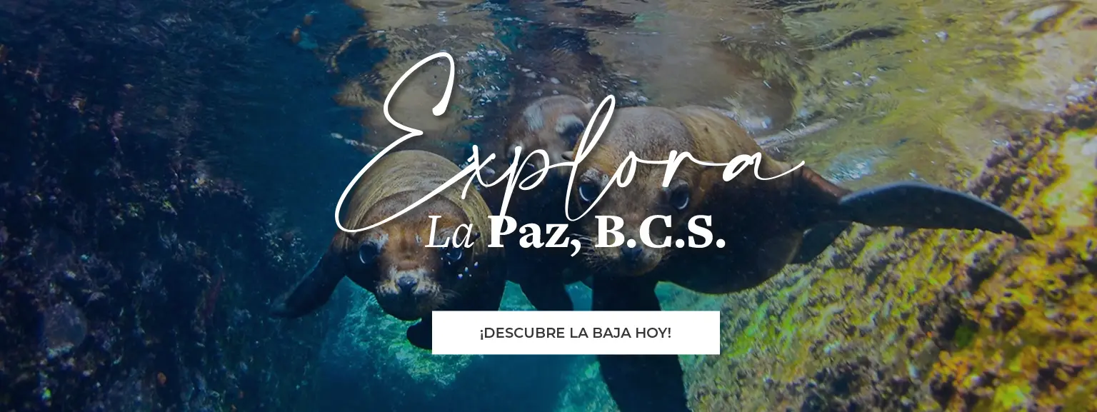 Promocion Especial SESTANTE, Servicios Navieros, BCS