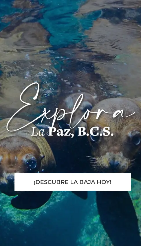 Promocion Especial SESTANTE, Servicios Navieros, BCS