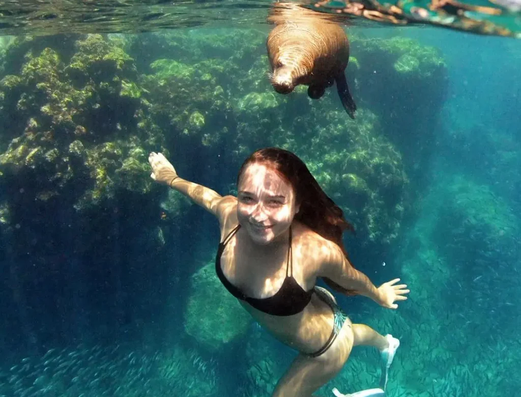 Nada con lobos marions, Isla Espíritu Santo, SESTANTE, servicios navieros, La Paz, Los Cabos