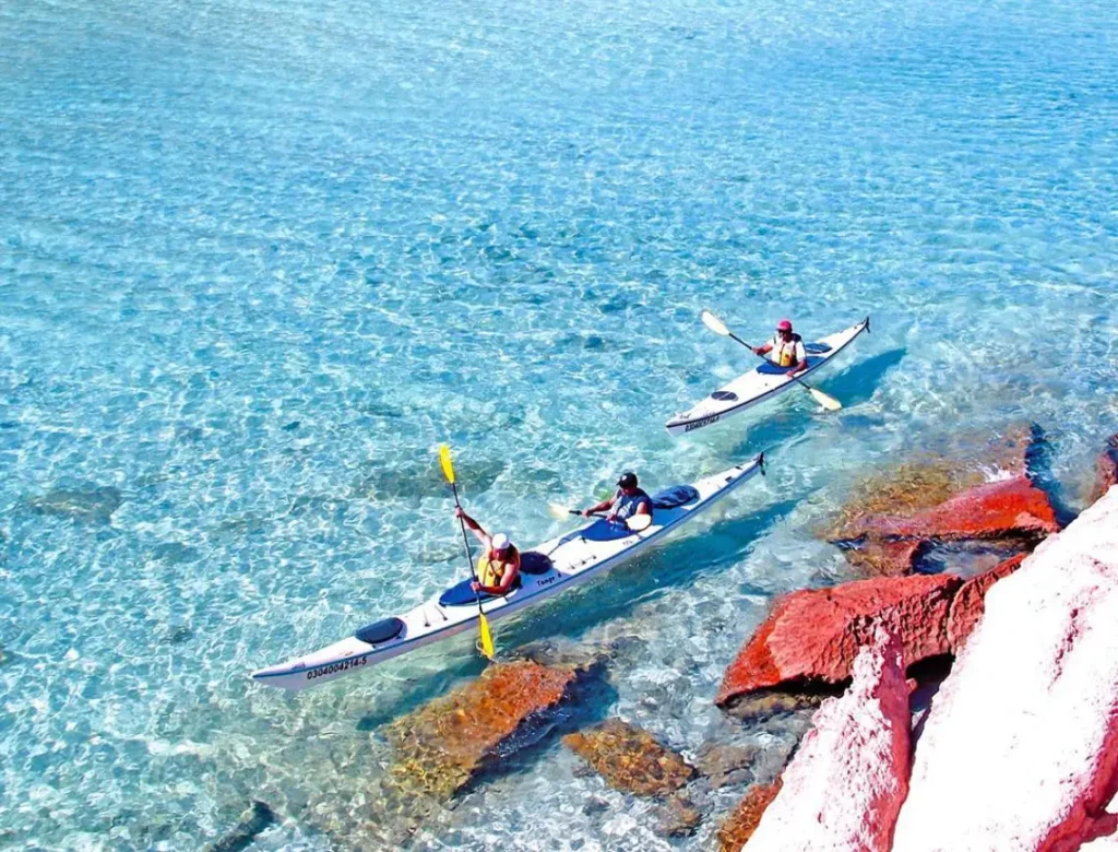 Kayak, Isla Espíritu Santo, SESTANTE, servicios navieros, La Paz, Los Cabos