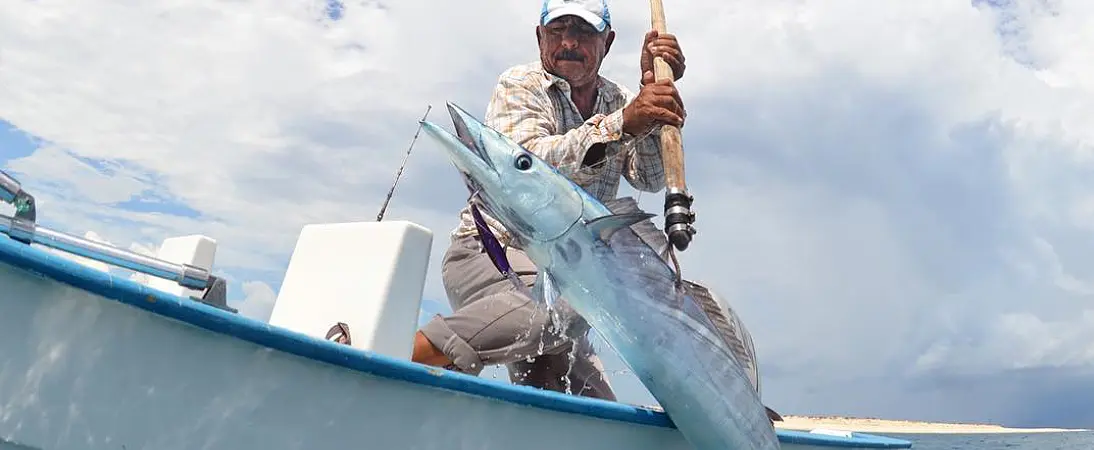 Pesca Deportiva, Cabo San Lucas, SESTANTE Servicios Navieros, Embarcaciones