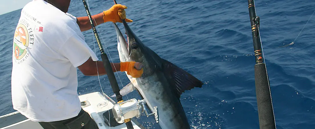 Pesca Deportiva, Cabo San Lucas, SESTANTE Servicios Navieros, Embarcaciones
